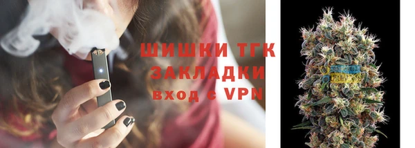 крисы Заводоуковск