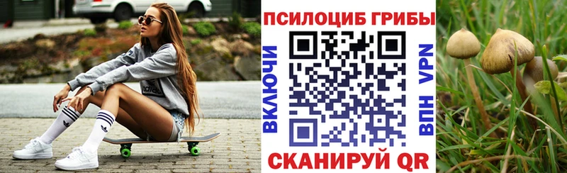 Галлюциногенные грибы Magic Shrooms  Купить где  Ялуторовск 